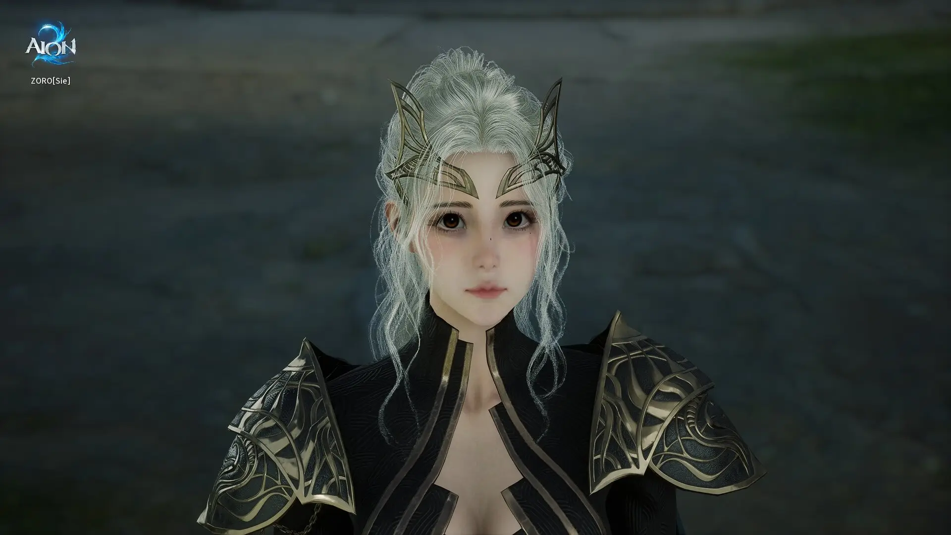 Style Shop : AION 2-NC