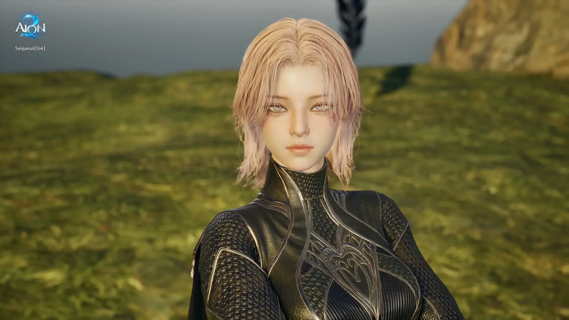 Style Shop : AION 2-NC