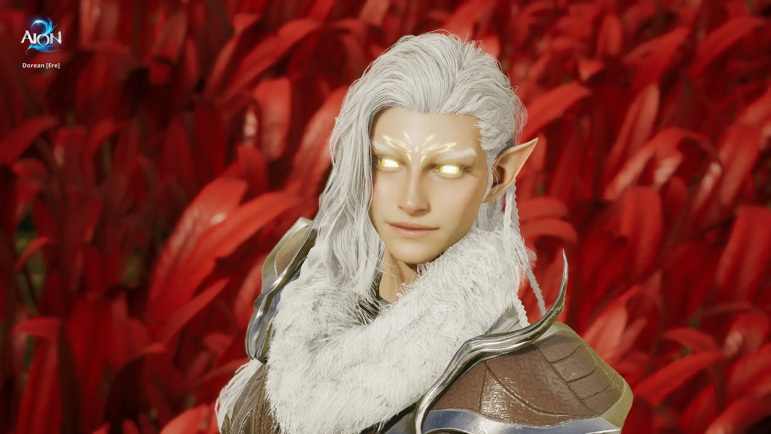 Style Shop : AION 2-NC