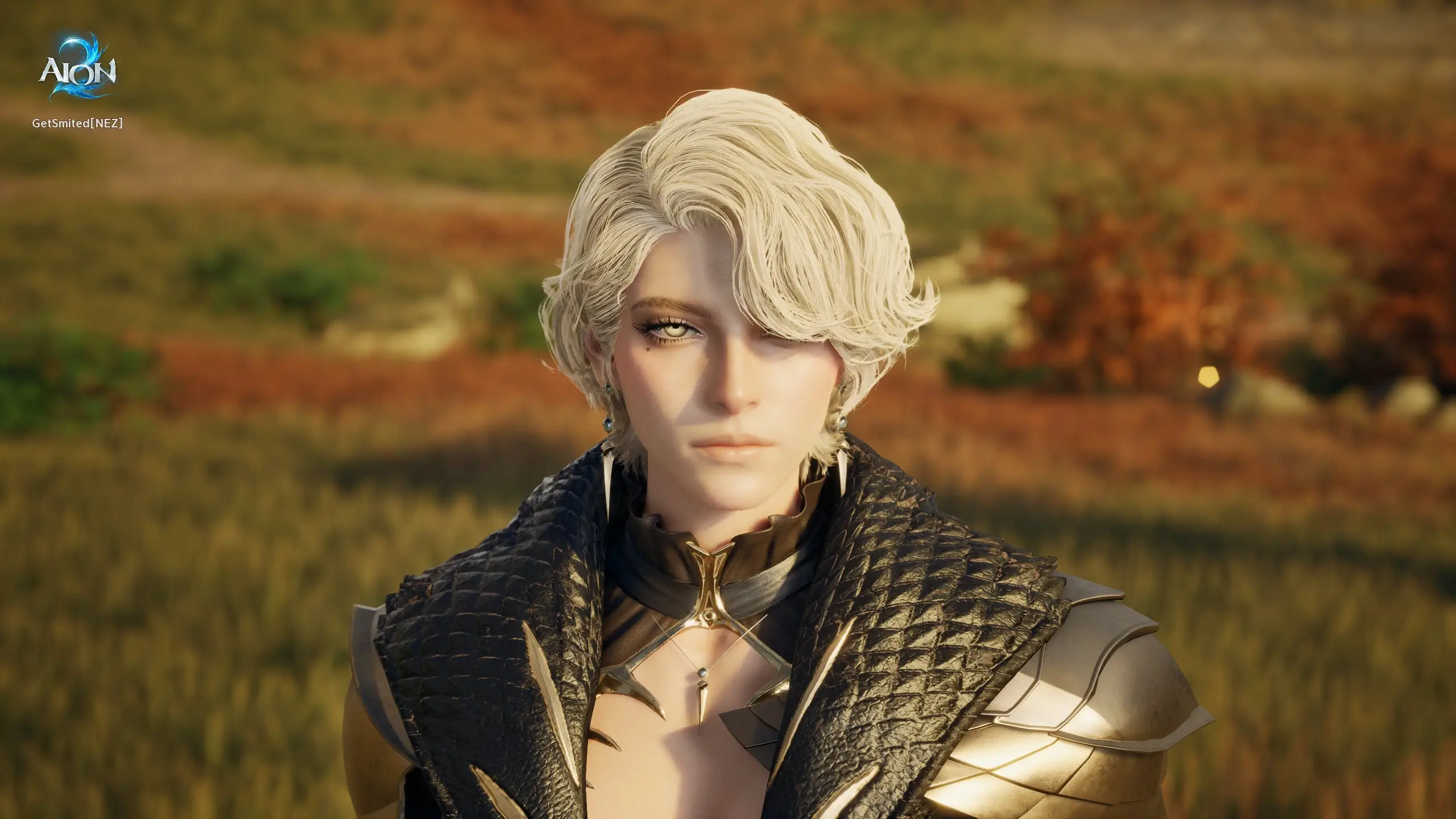 Style Shop : AION 2-NC