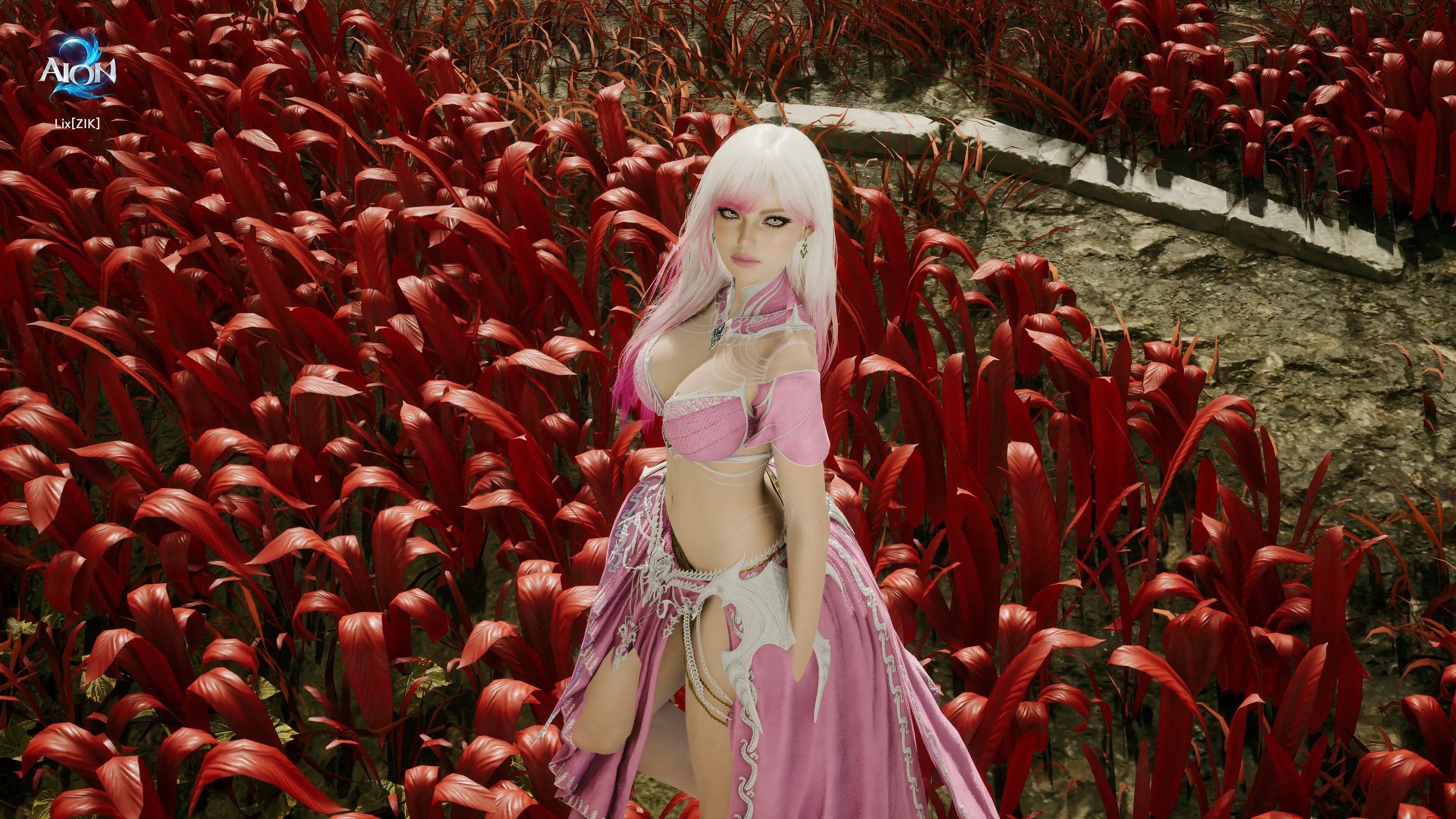 Pink Beauty <3, Foto 6 von 9