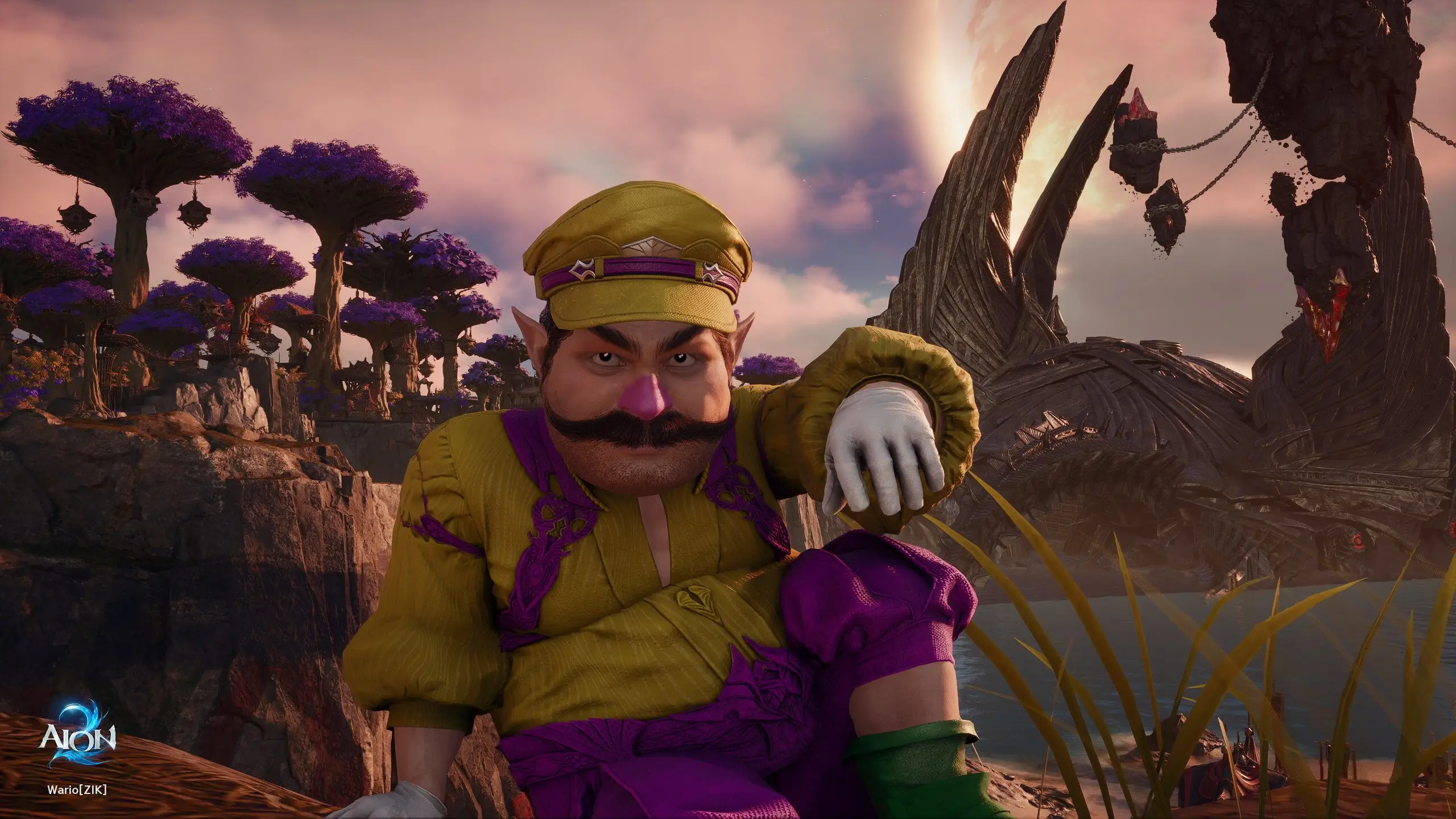 Wario