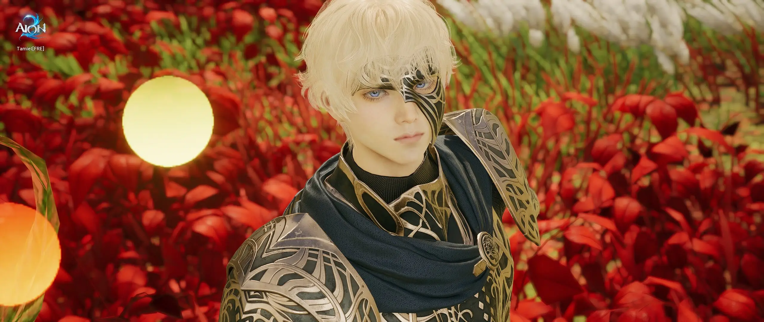 Style Shop : AION 2-NC