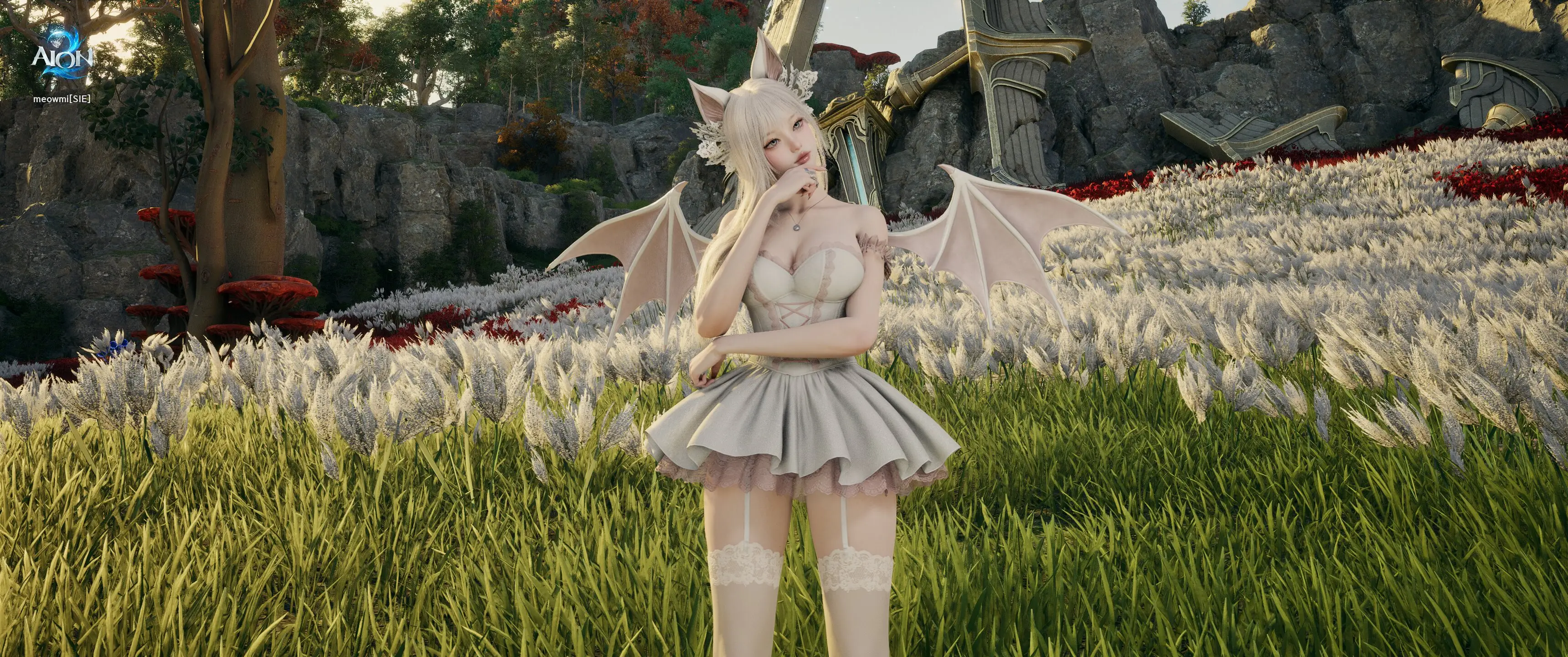 meowmi, foto 2 di 5
