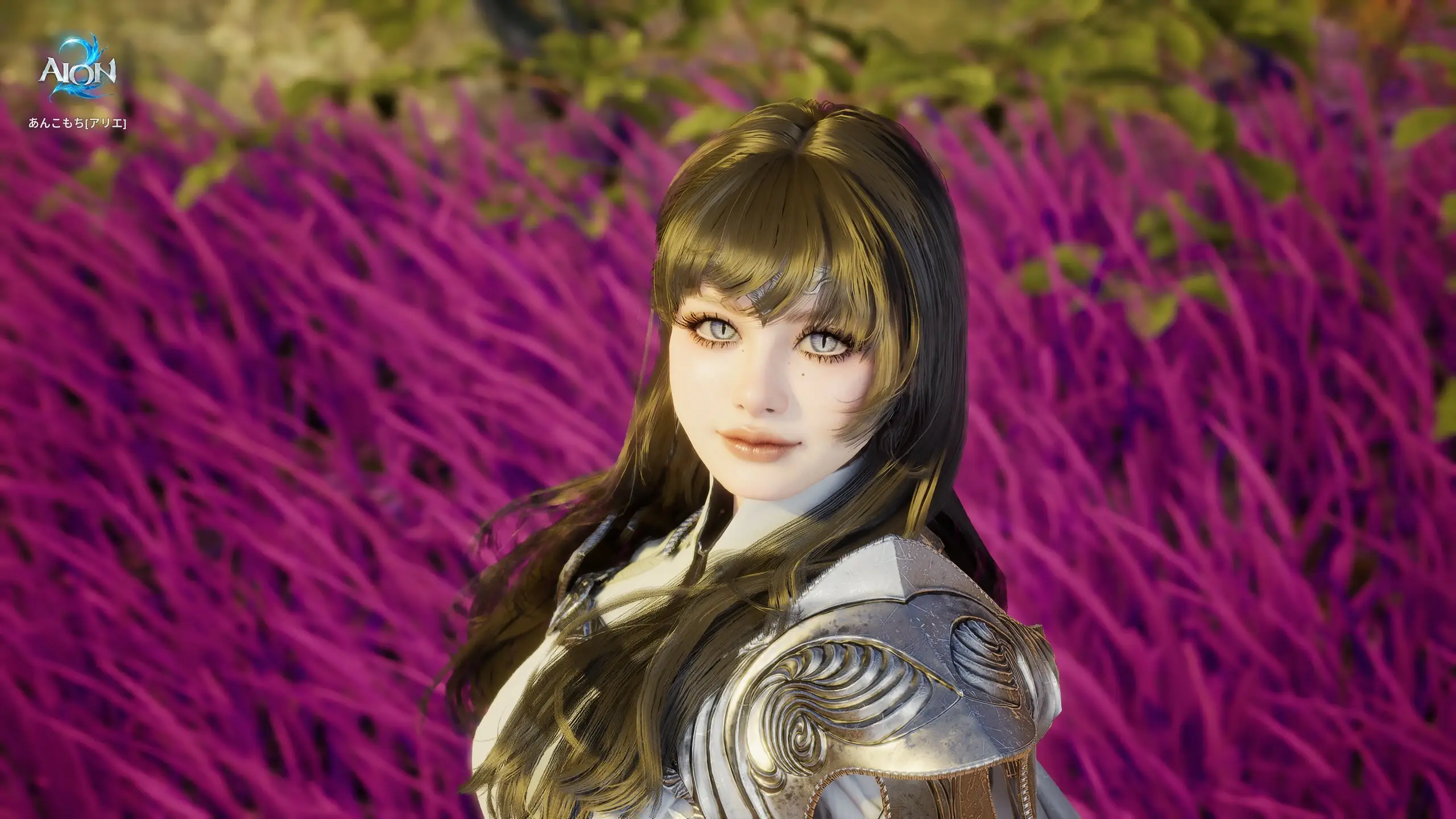 Style Shop : AION 2-NC
