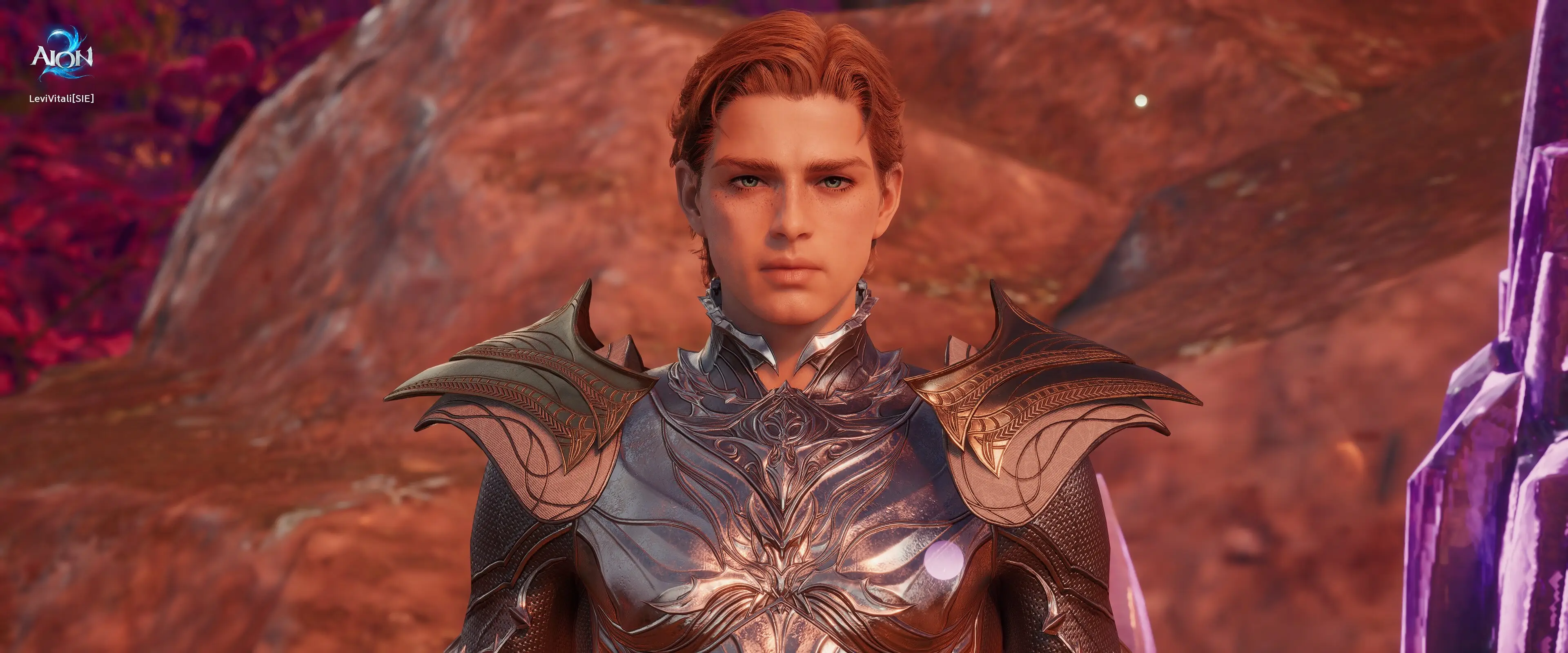 Levi