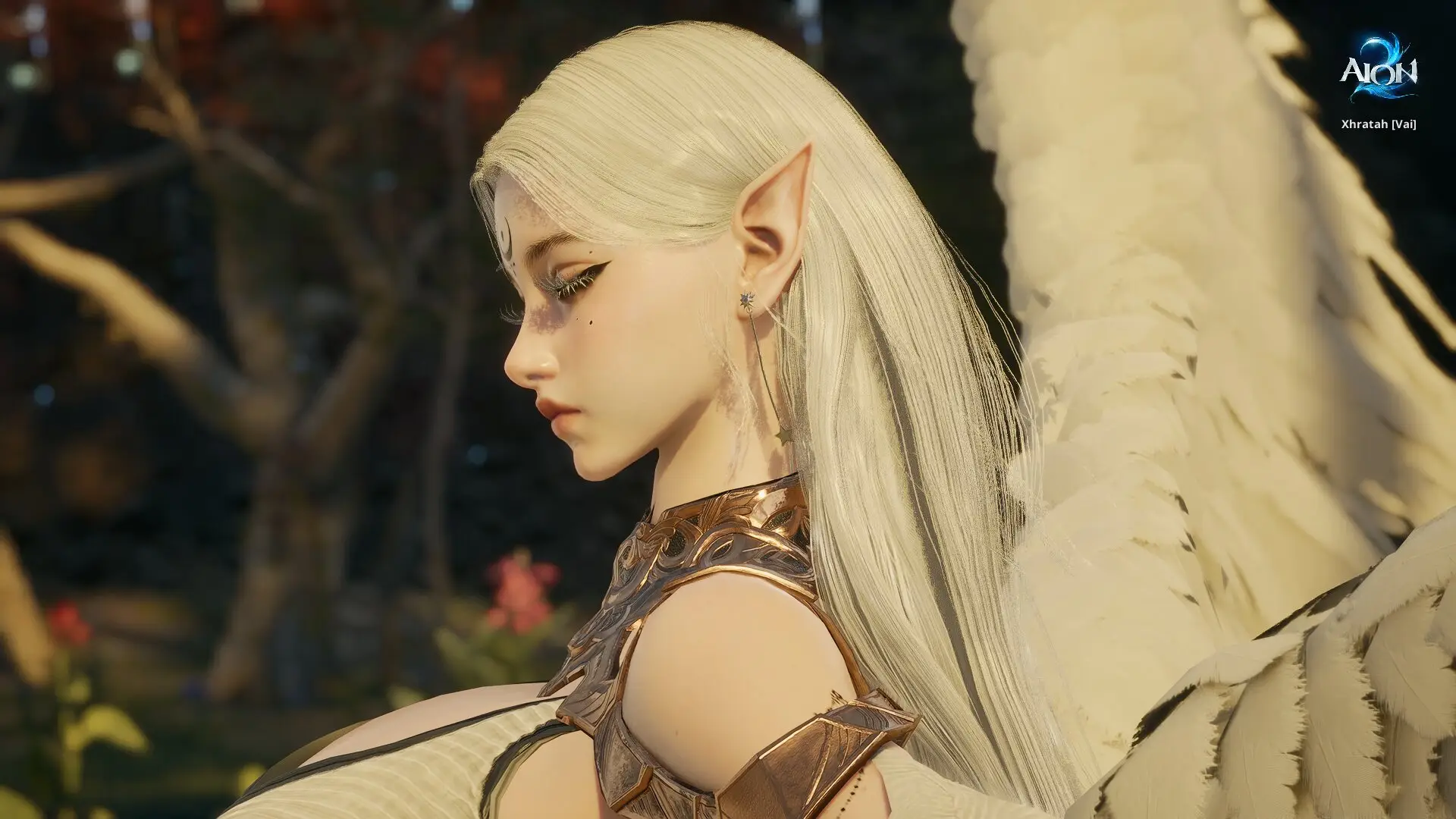 Angel Elyos  blind