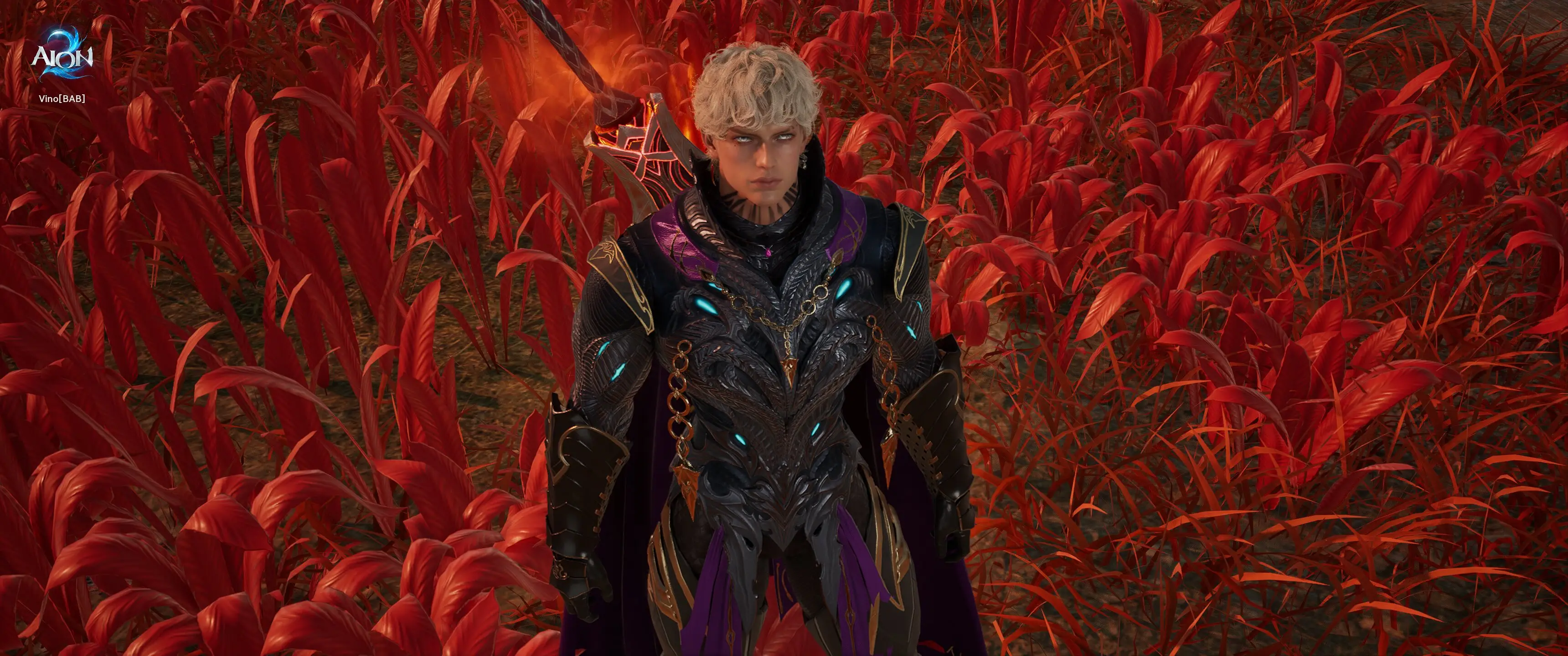 Vin